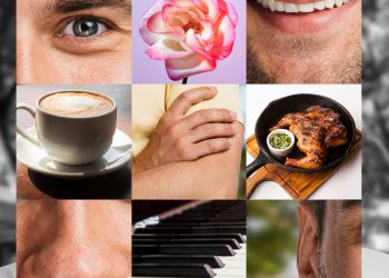 Engage the Senses: Sensory Activities for Dementia Patients