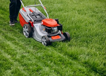 Green Grass Glory: 5 Essential Tips for Perfect Lawn Mowing