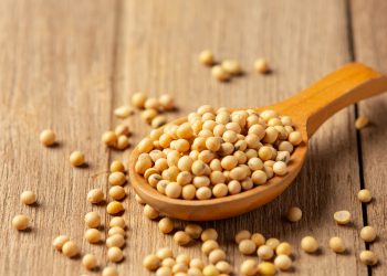 Finding the Right Soybean Oil Supplier: A Comprehensive Guide