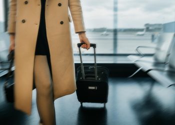 Homemade Cat Food and Special Considerations