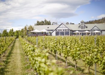 Uncorking the Best Wine Tours in Hobart: A Journey through Tasmania’s Vineyards