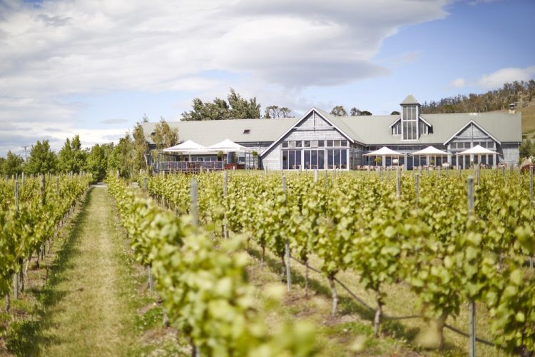 Uncorking the Best Wine Tours in Hobart: A Journey through Tasmania’s Vineyards