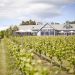 Uncorking the Best Wine Tours in Hobart: A Journey through Tasmania’s Vineyards
