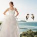 Gold Coast Wedding Photographer: Why Tom Hall Photography is Your Perfect Choice