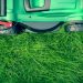 Common Lawn Problems and How to Fix Them: A Guide for Homeowners on the Sunshine Coast