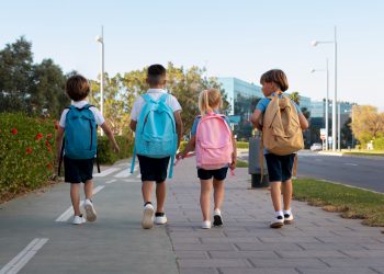 CBSE vs. State Board: Selecting the Appropriate Educational Route for Your Child