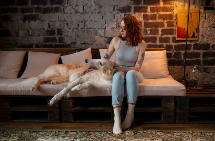 A Guide For Building a Successful Pet Sitting Business