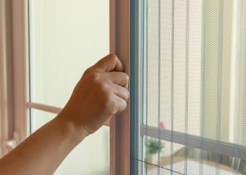 What are the benefits of using mosquito netting in Singapore?