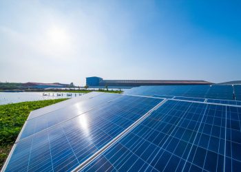 Is Solar Panel Cleaning Worth It?