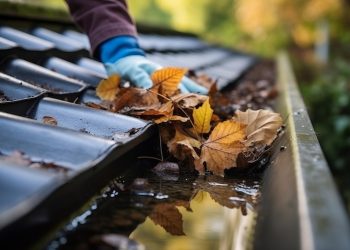 The Importance of Hiring Professional Indianapolis Gutter Cleaning Companies