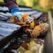 The Importance of Hiring Professional Indianapolis Gutter Cleaning Companies