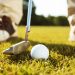 Renting Golf Clubs: Your Gateway to a Seamless Golfing Experience
