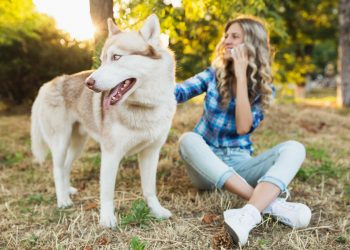 Affordable and Reliable Pooper Scooper Services in New Jersey