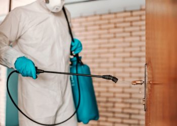 Mastering Pest Control: Techniques and Tips for a Pest-Free Home