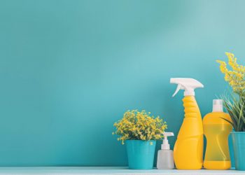 Understanding Your Eligibility