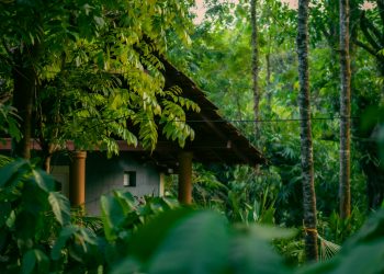 Unveiling the Captivating Coorg: Your Perfect Tour Package Guide with Must-See Places