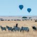 The Perfect Kenya Safari Package: Best Safari Destinations Rich in Wildlife