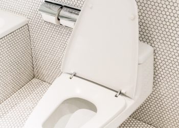 Save Your Bathroom from Disaster – How to Stop A Toilet from OverflowingIntroduction to the Common Household Issue of Toilet Overflows