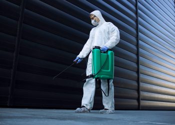 Choosing a professional pest control company for pest control services