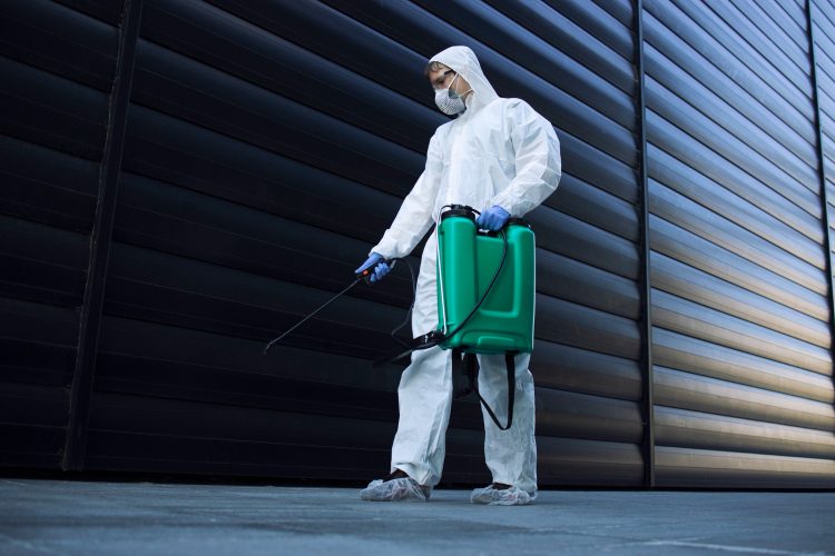 Choosing a professional pest control company for pest control services