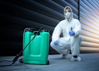 Choosing a professional pest control company for pest control services