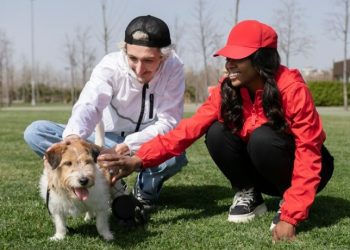 Why Every Pet Needs a Pet ID Tag: Ensuring the Safety of Your Furry Friends