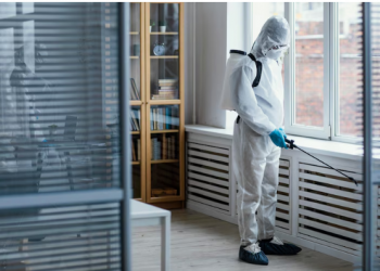 除蟲公司,除蟲,除白蟻