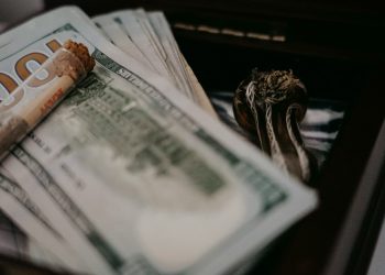 Everything You Need to Know About Personal Loans