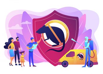 Is it Okay to Vacuum After Pest Control?