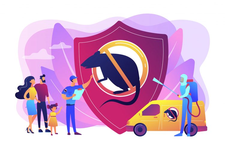 Is it Okay to Vacuum After Pest Control?