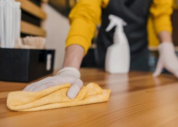 How to Keep Your Home Clean Between Professional Cleanings