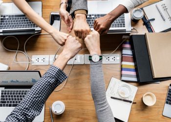 Workplace Values and Purpose