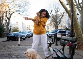 Travel in Style: Why the Delsey Chatelet Air 2.0 Wheeled Pet Carrier is a Must-Have for Pet Owners