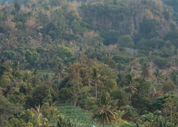 Discover the Beauty of Lombok: Villas in Indonesia’s Tropical Paradise with a Touch of History at St. Maryam