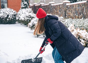 Winter Landscape Maintenance: Keeping Your Yard Healthy When the Weather Gets Tough
