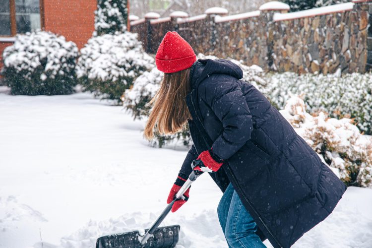 Winter Landscape Maintenance: Keeping Your Yard Healthy When the Weather Gets Tough