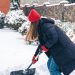 Winter Landscape Maintenance: Keeping Your Yard Healthy When the Weather Gets Tough