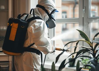 How Long Should You Stay Out of the House After Pest Control?