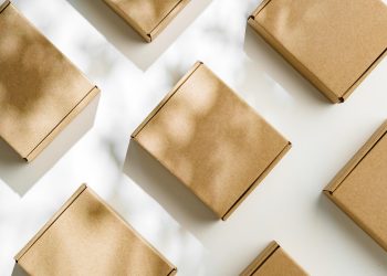 Packaging Success: Selecting the Appropriate Material for Collapsible Carton Cases