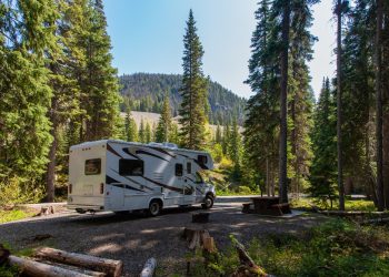 RV Auctions in the USA: How to Find the Perfect RV at a Great Price