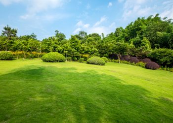 How to Fertilize Your Lawn Without Damaging the Environment