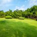 How to Fertilize Your Lawn Without Damaging the Environment
