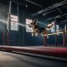 The Benefits of Dog Agility Training for Physical and Mental Health