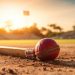 Introduction to Cricket Betting: A Beginner’s Guide
