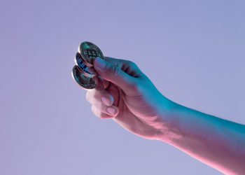 Why Fat Pig Signals Continues to Dominate the Crypto Market in 2025