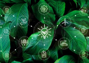 DeFiLlama: Unlocking the Secrets of Protocol Sustainability