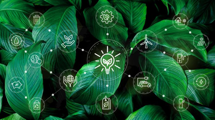 DeFiLlama: Unlocking the Secrets of Protocol Sustainability