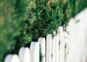 The Role of Fencing Contractors in Enhancing Property Security