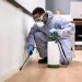 Small Investment, Big Returns: 5 Ways Preventative Pest Control Saves Your Bank Account