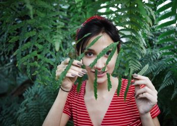 Exploring What Lifted Shop DC Offers for Cannabis Enthusiasts